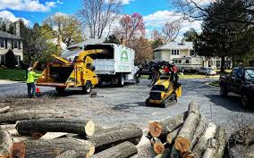 Best Storm Damage Tree Cleanup  in New London, CT