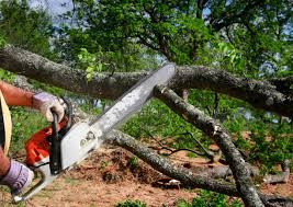 Best Utility Line Clearance  in New London, CT